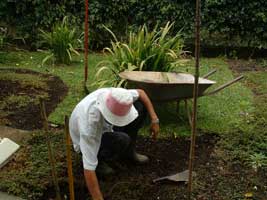 gardener in action